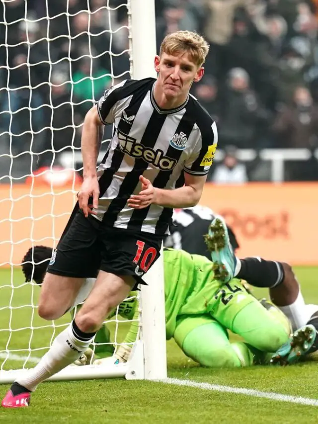 Newcastle’s in-form winger makes second return to Everton every inch a £45m player