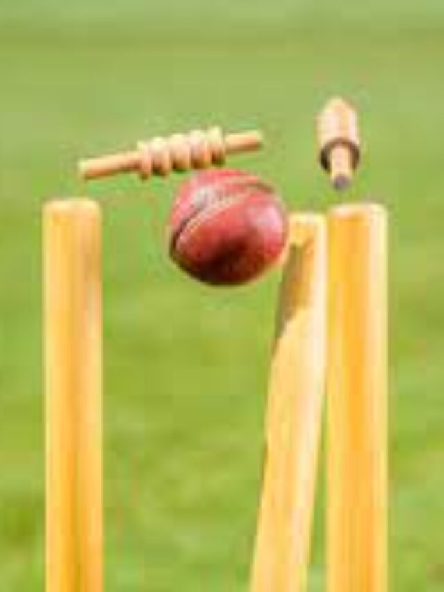 T20 WORLD CUP2024-What is a wicket, out, over and duck in cricket?